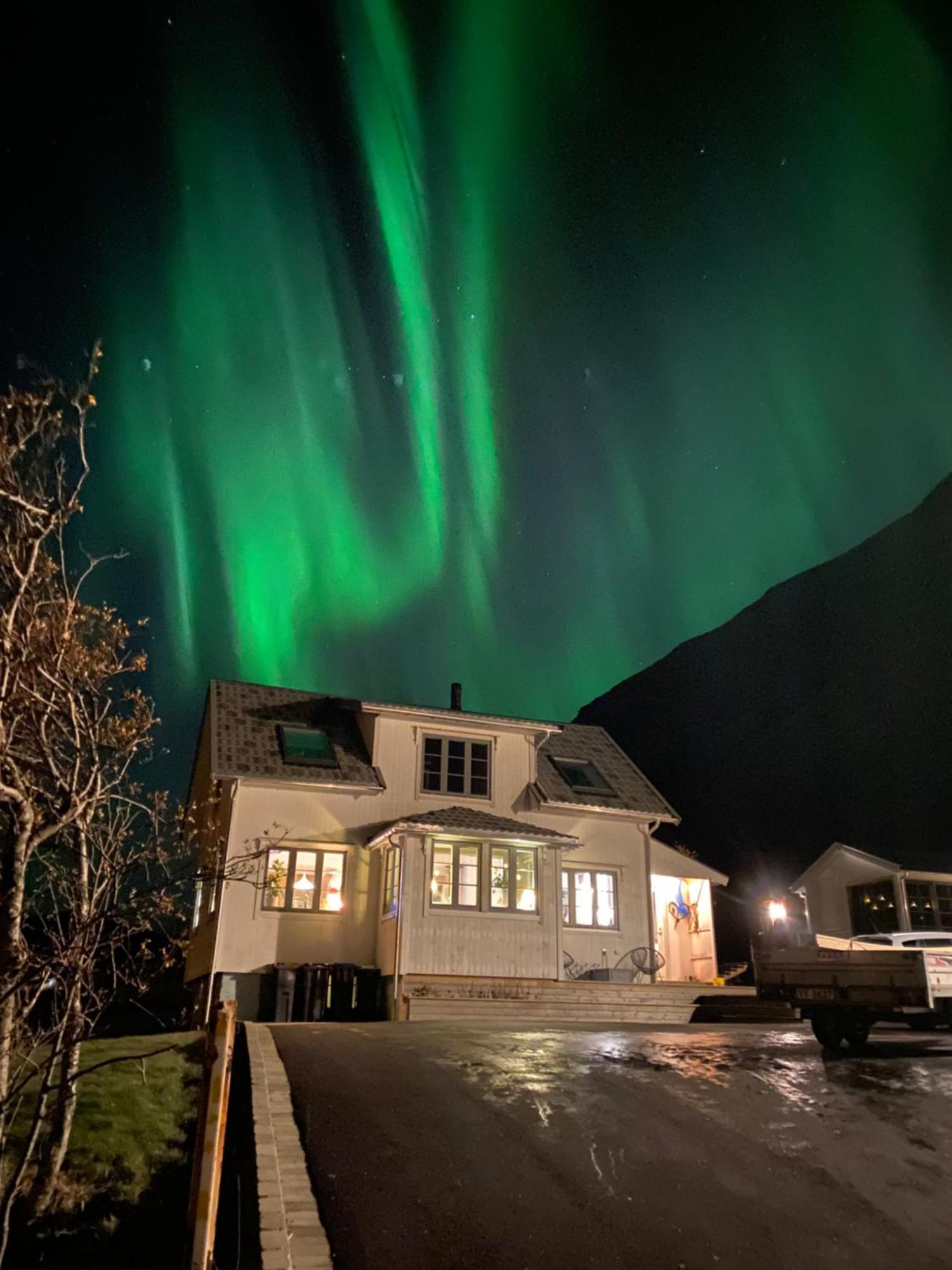 فيلا Dyr Tillatt I Vakkert Hus Med Naturomgivelser I Lofoten Sennesvik المظهر الخارجي الصورة